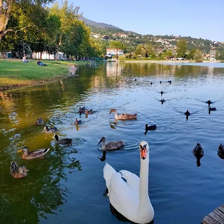 I Quattro Laghi Casa Delle Stelle * Brebbia